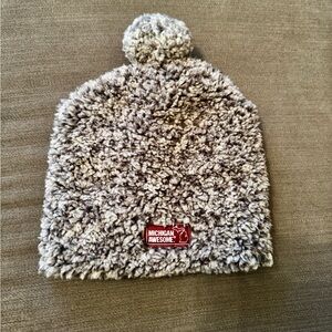 Michigan Awesome Sherpa Pom Beanie‎